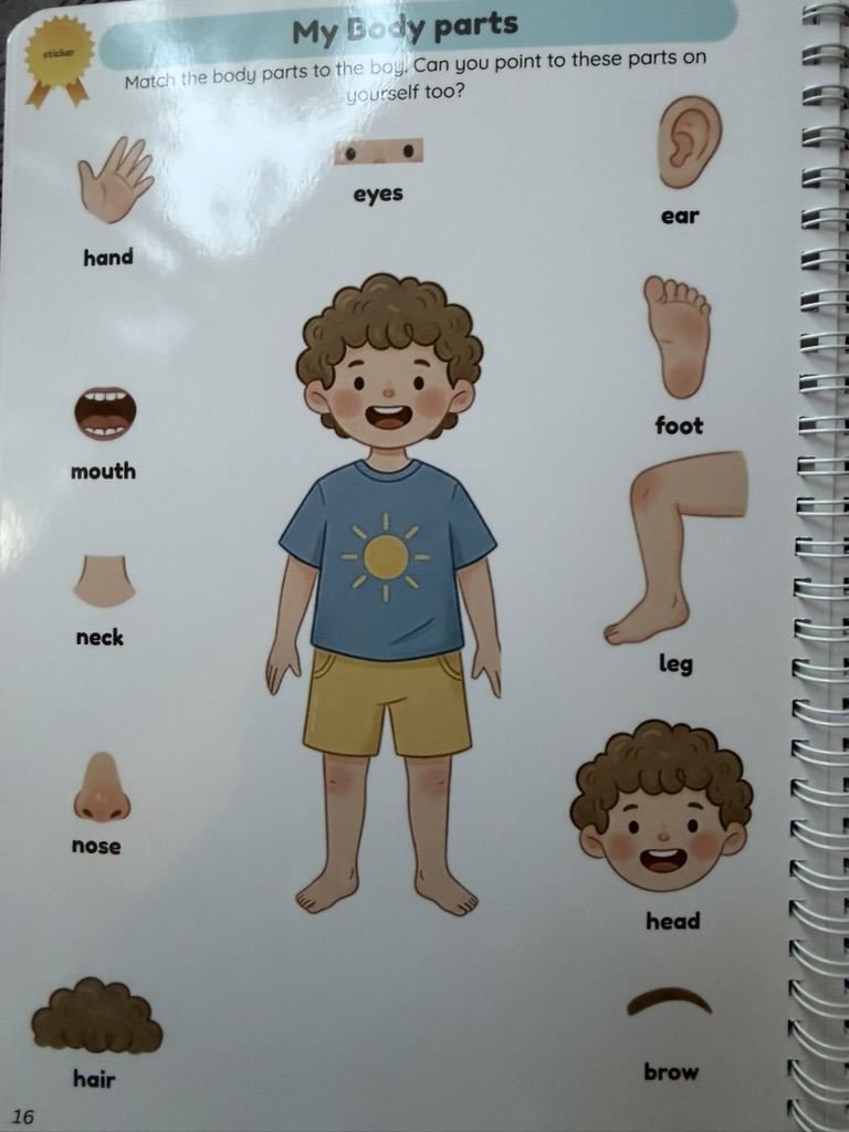 My Body Parts — vocabulary