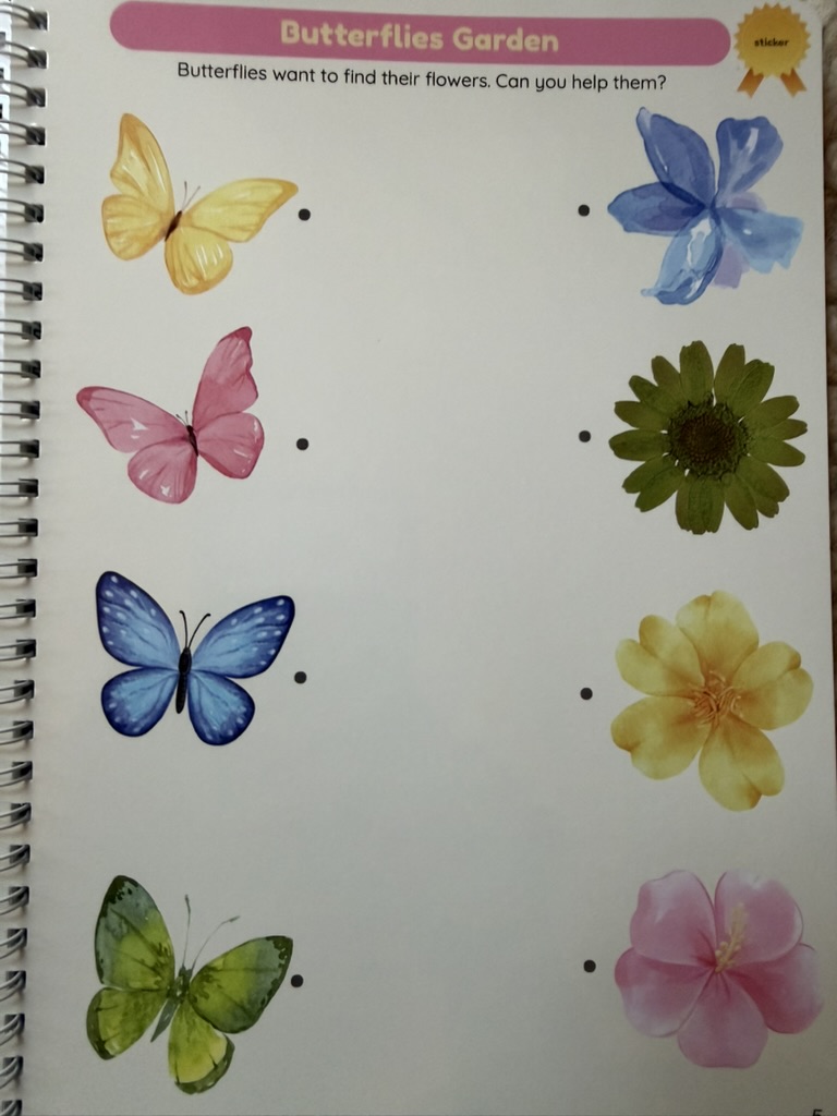 Butterflies Garden — color matching